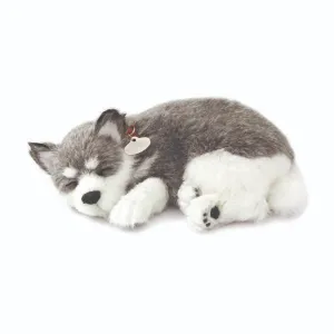 03Original - Alaskan Husky