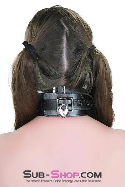 1371DL      Locking Leatherette Collar and Leash Set - LAST CHANCE - Final Closeout!