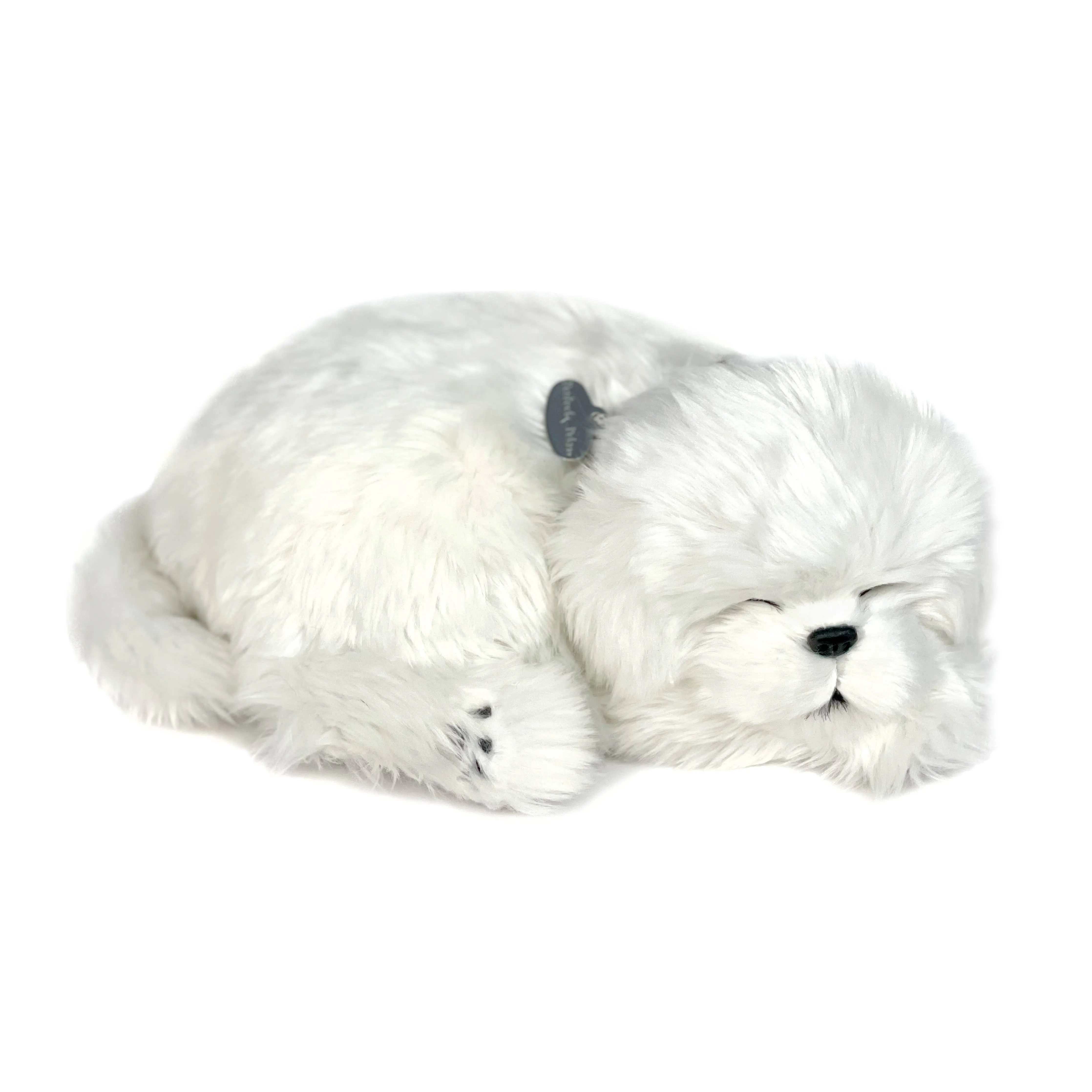 13Original - Maltese