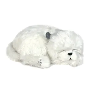 13Original - Maltese