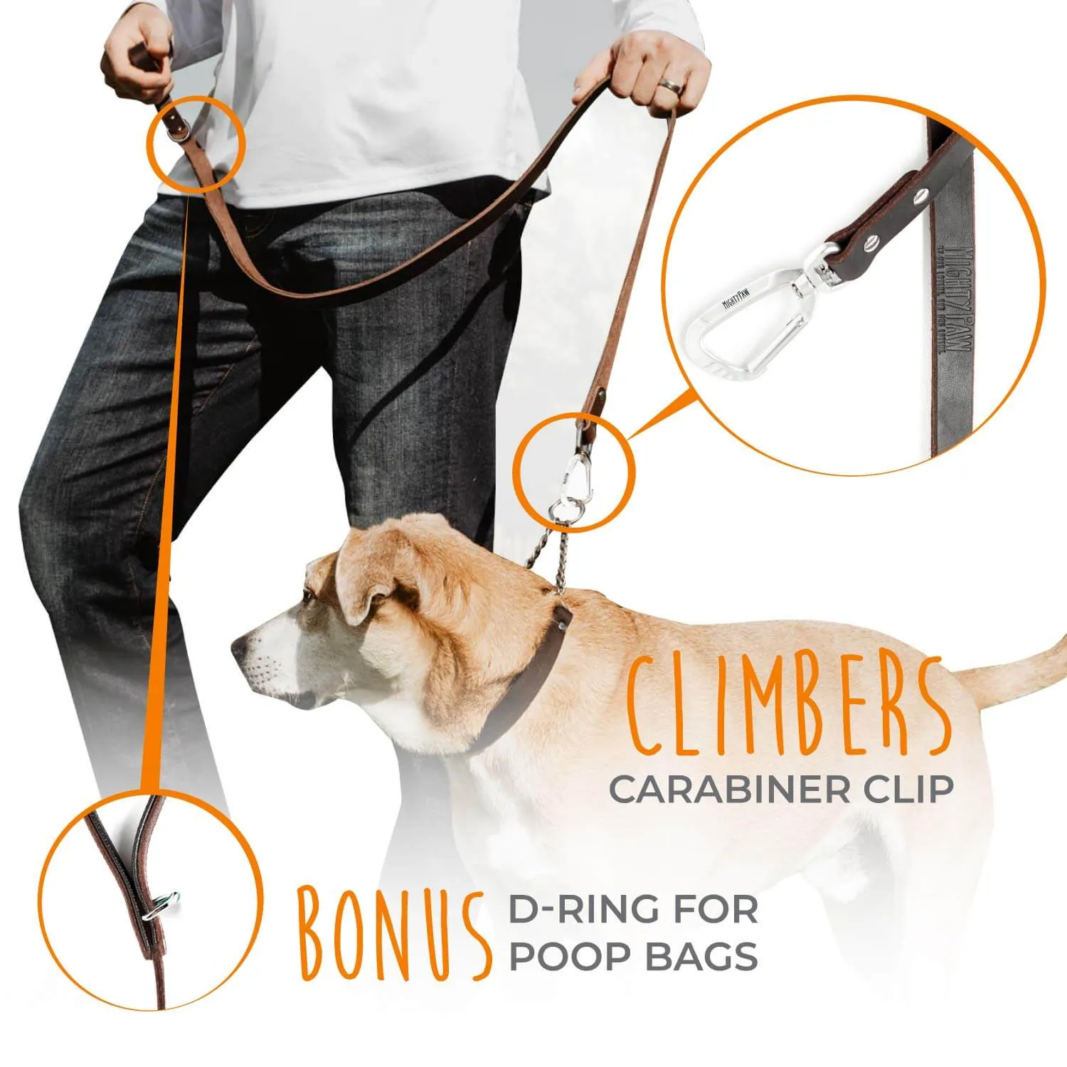 6-Foot Leather Dog Leash - Padded Handle & Carabiner Clip