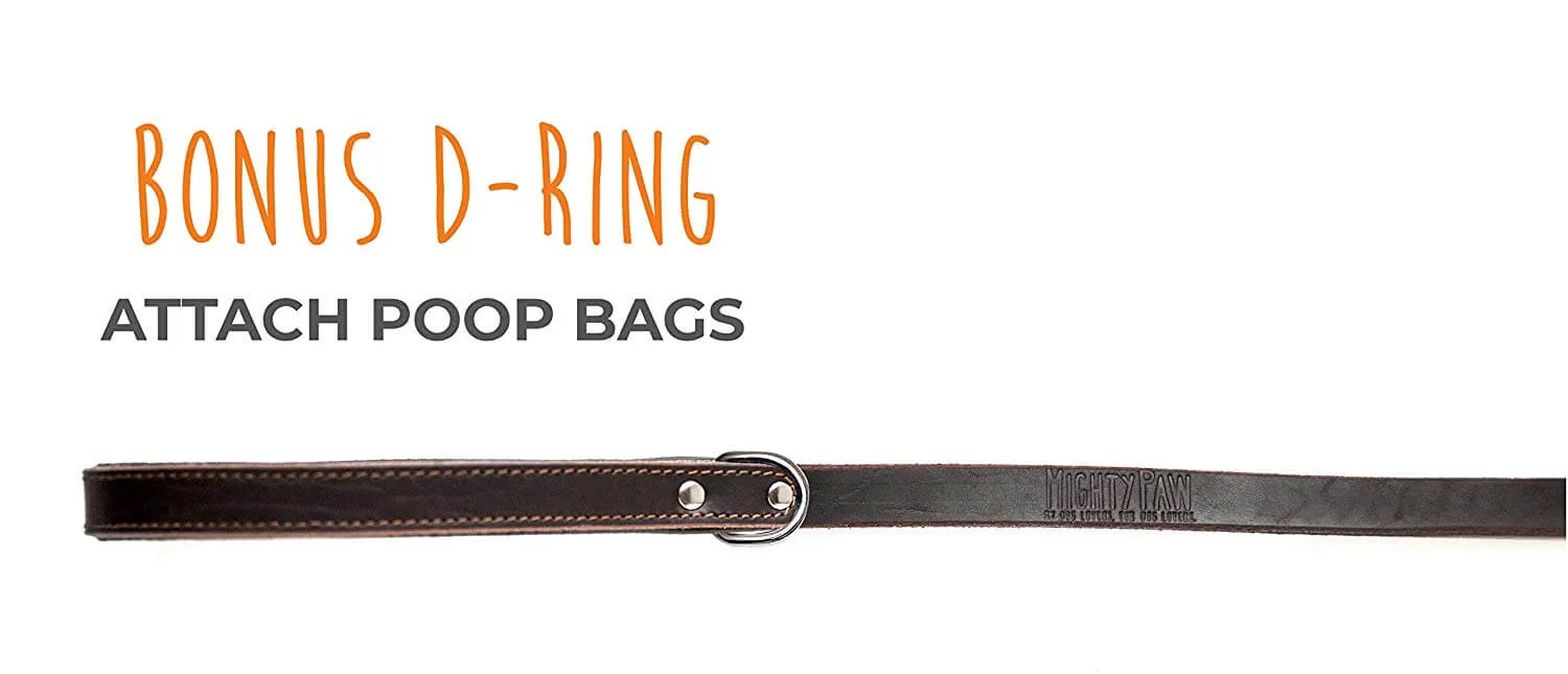 6-Foot Leather Dog Leash - Padded Handle & Carabiner Clip