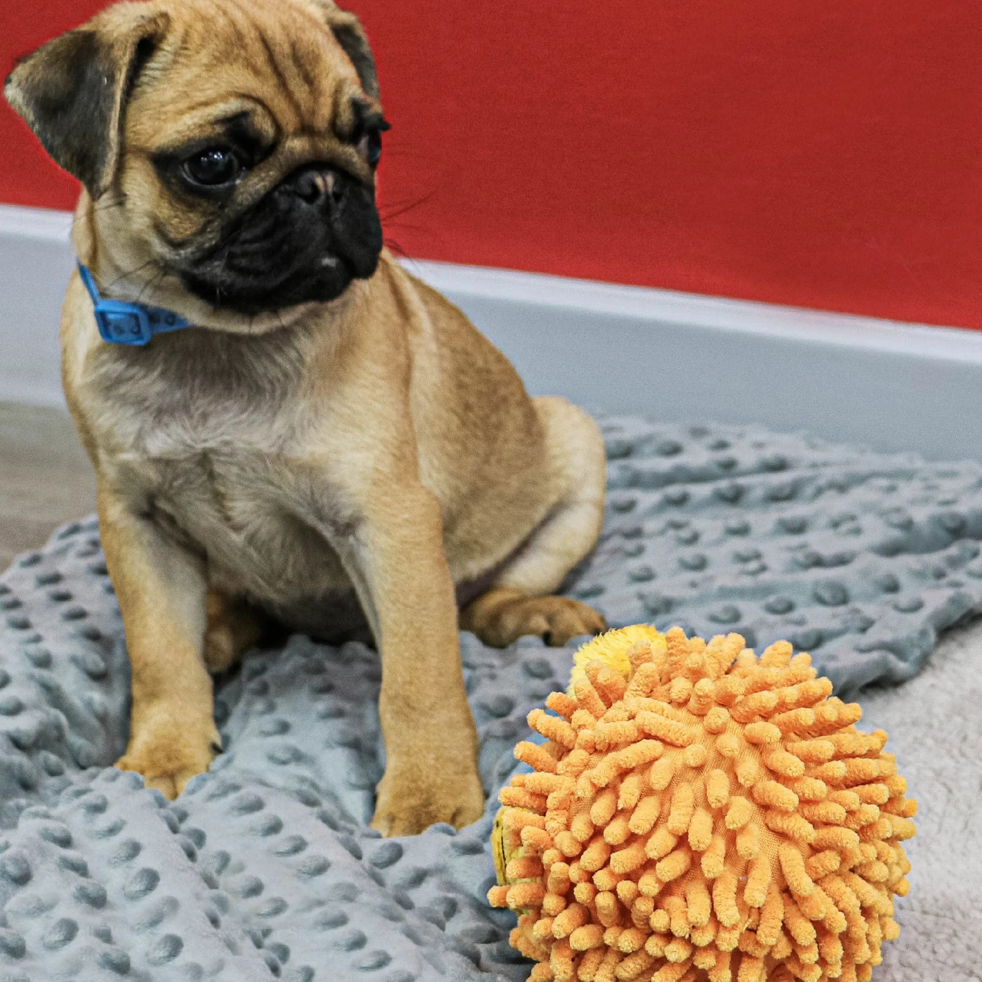 Ancol Small Bite Plush Lion Dog Toy