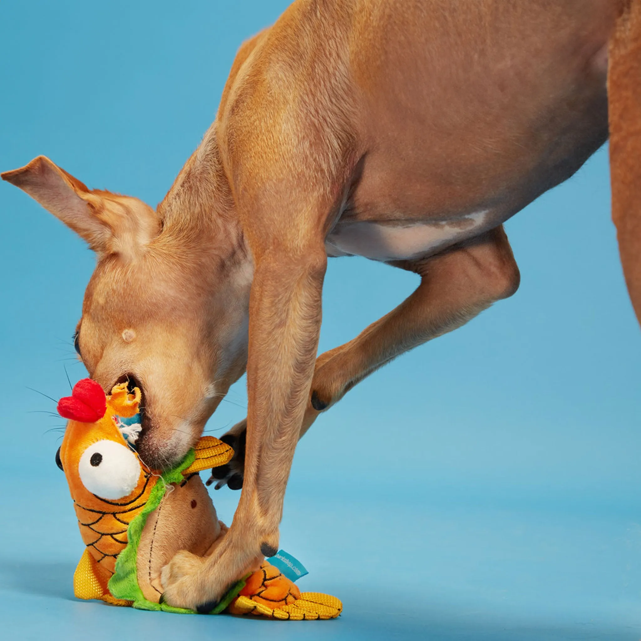 Bark Ernesto Fish Taco Dog Toy