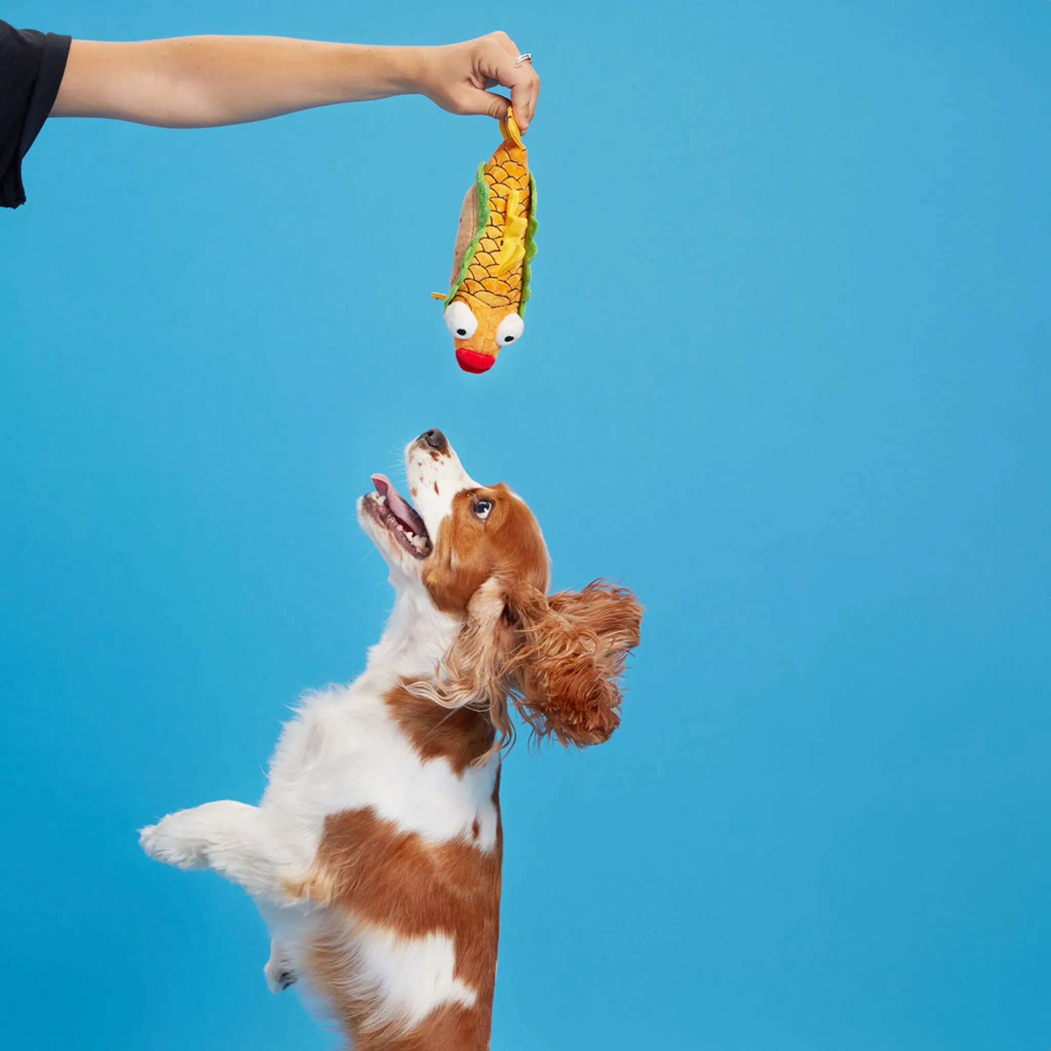 Bark Ernesto Fish Taco Dog Toy