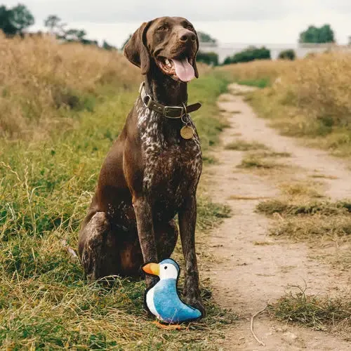 Beco - Recycled Rough & Tough - Paloma the Puffin Dog Toy