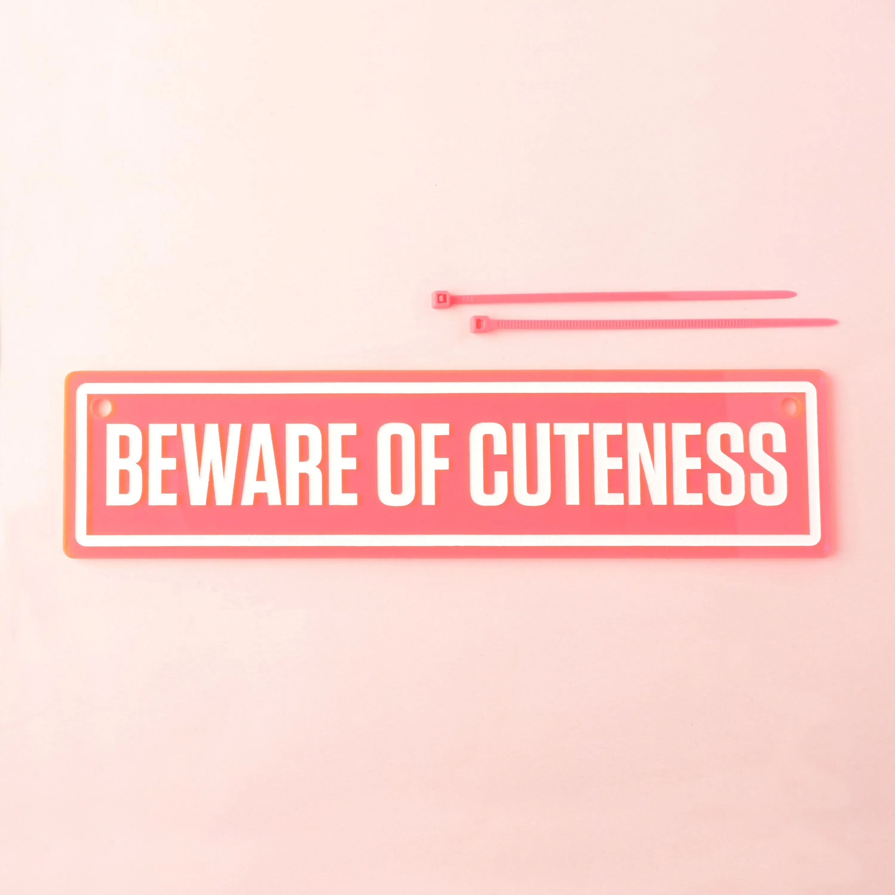 Beware of Cuteness Pet Crate Sign