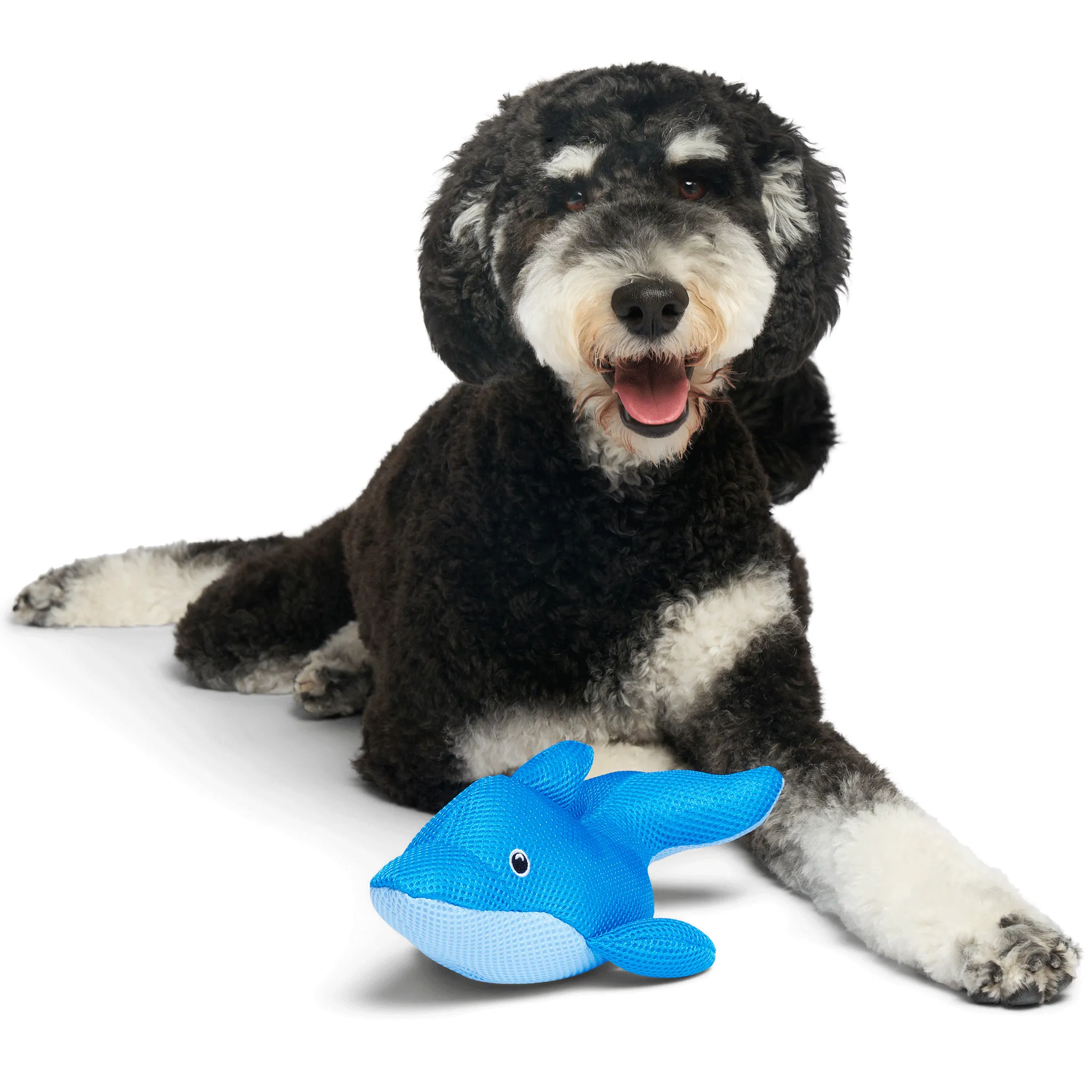 Canada Pooch Chill Seeker Dolphin Dog Toy