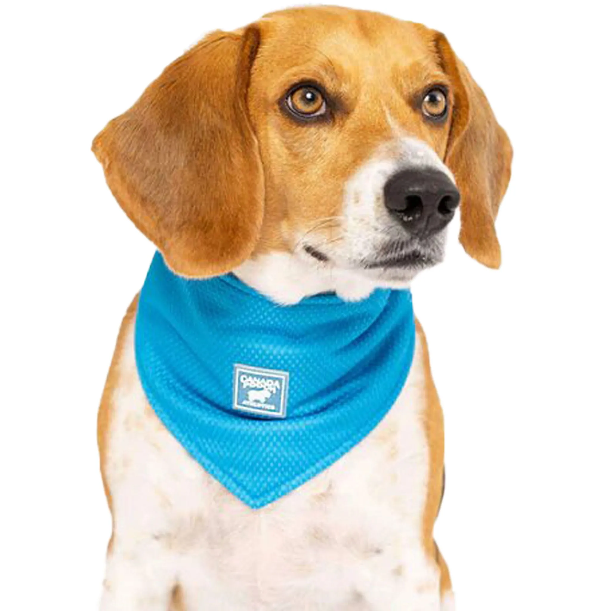 Canada Pooch Cooling Blue Dog Bandana