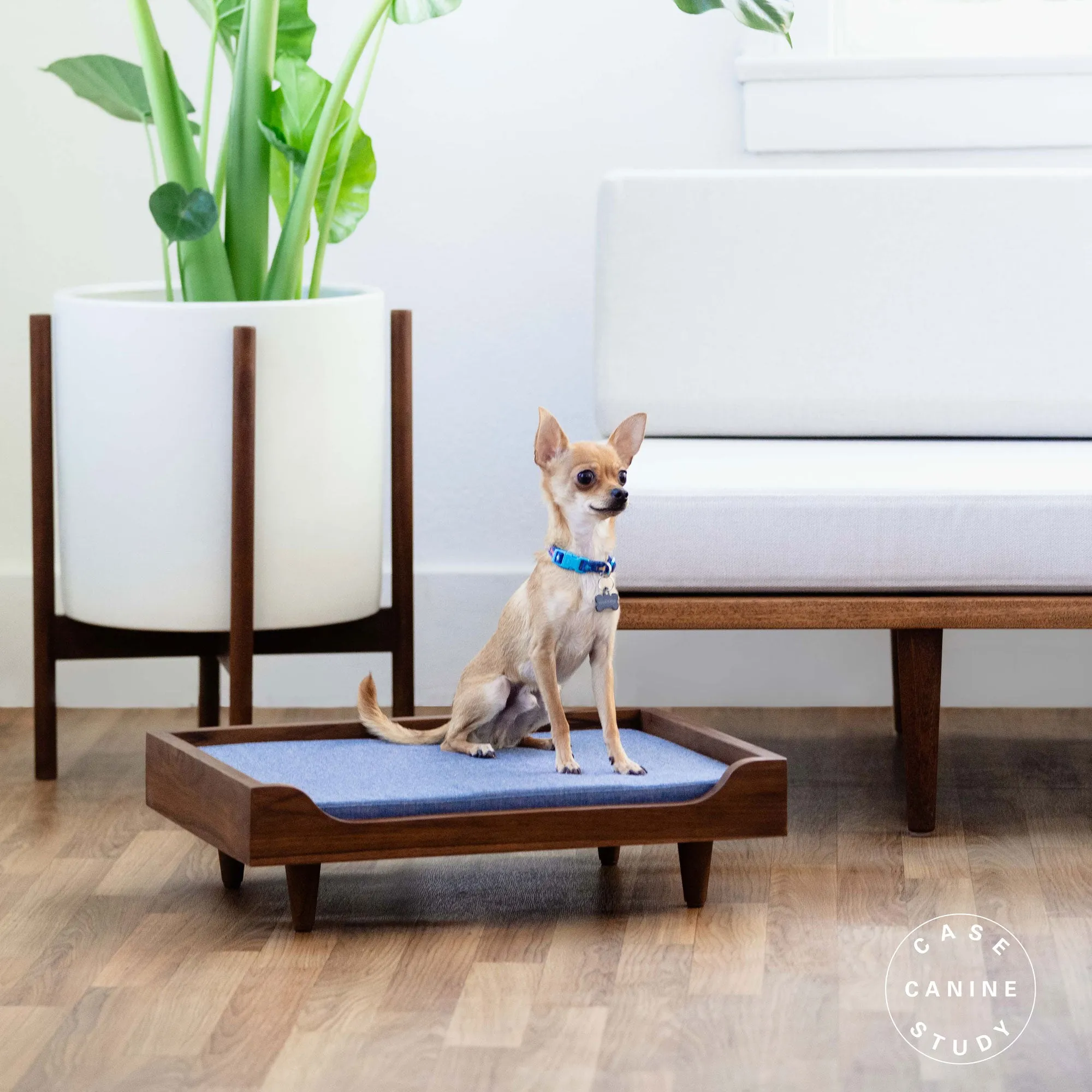 Case Study® Solid Wood Pet Daybed - Small