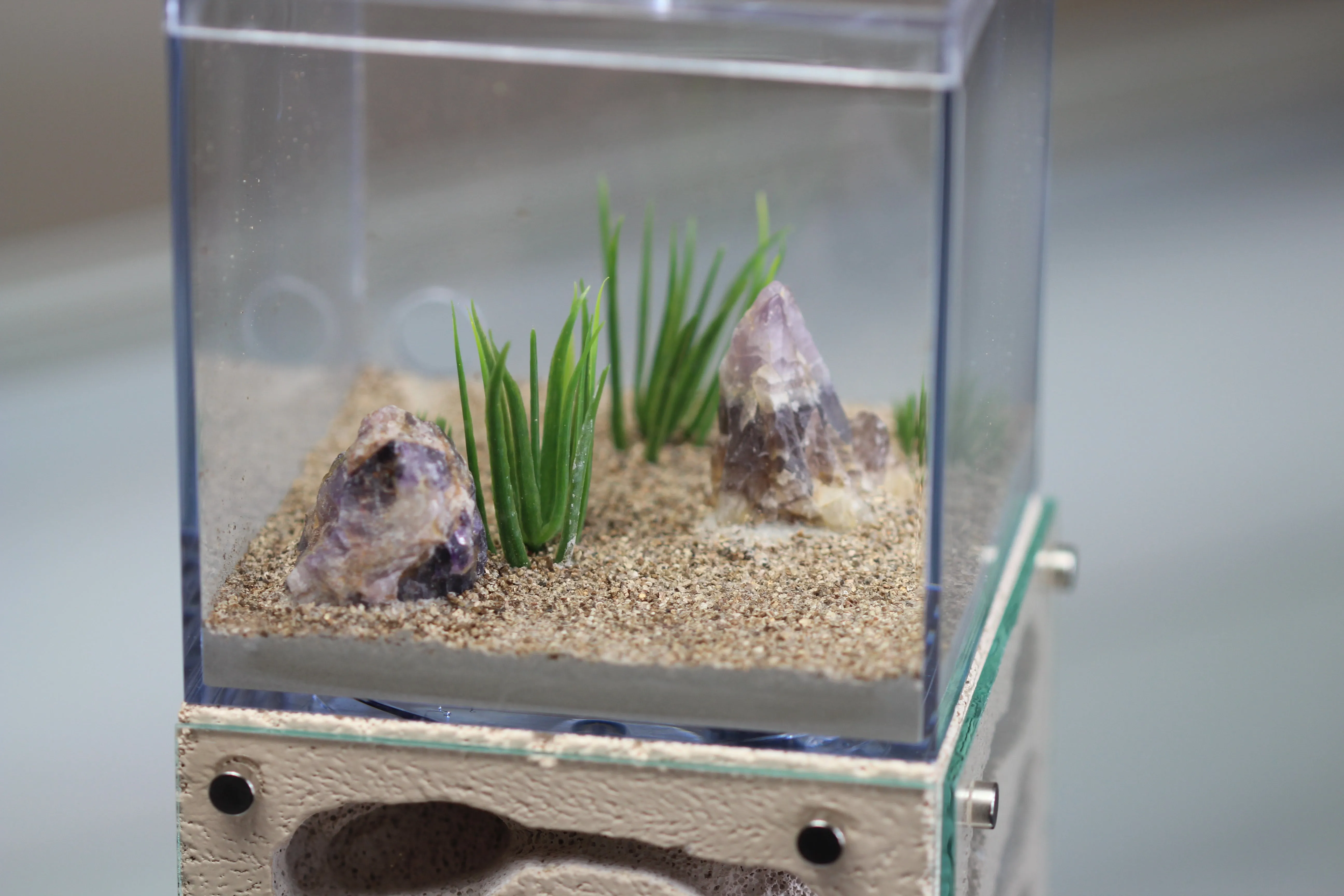 Casita (Custom Bone 3)