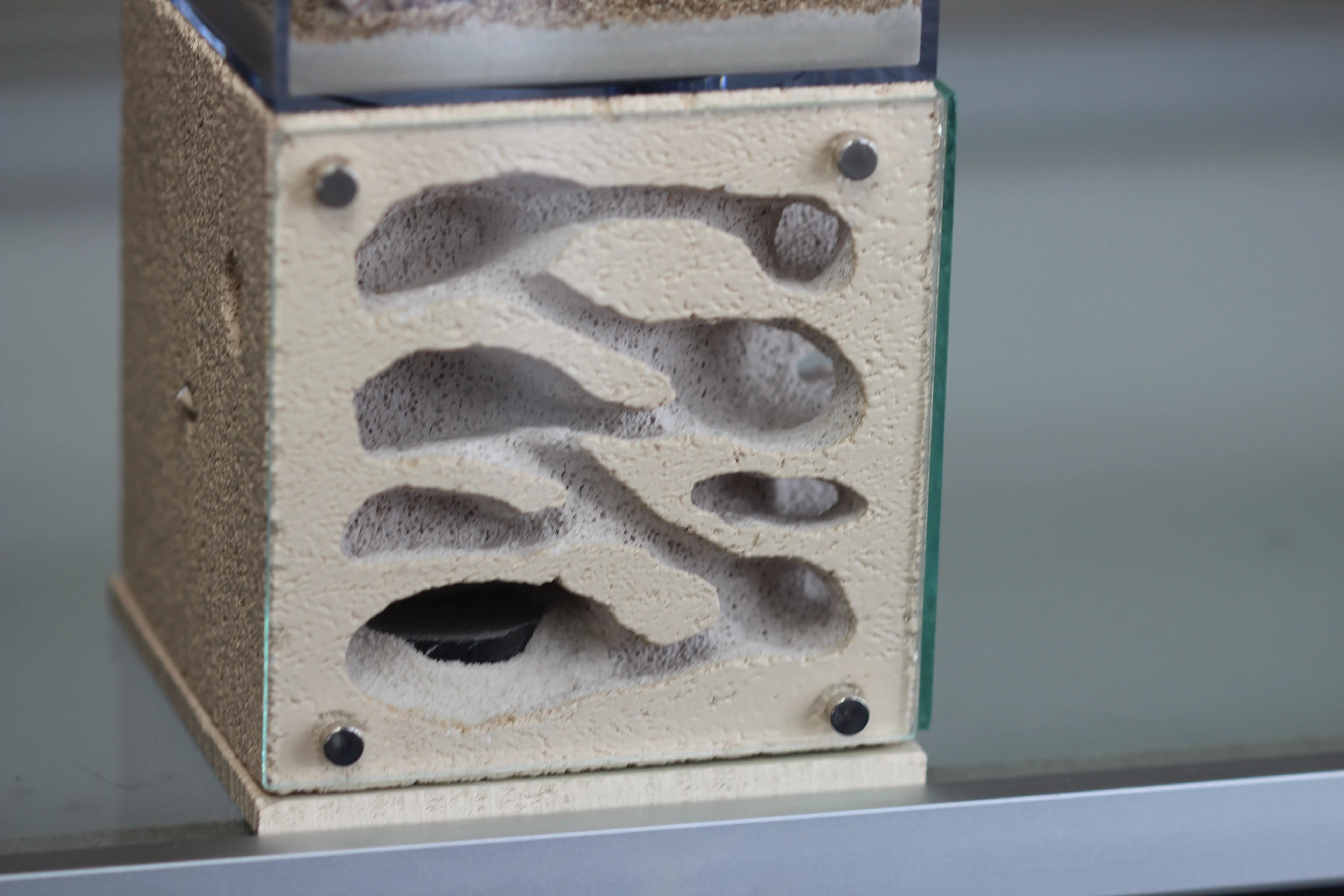 Casita (Custom Bone 3)