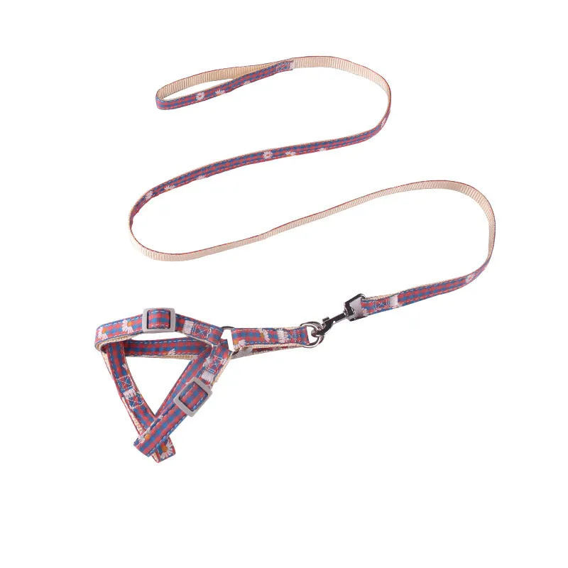Daisy Pet Summer Harness and Leash Set