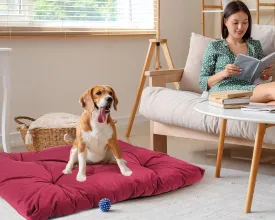 Dog Bed for Large Dogs  36x27x3.5 Plush Crate Bed, Washable Fluffy Dog Mat with Anti-Slip Bottom, Cozy Maroon Sleeping Pad for Medium & Large Dogs