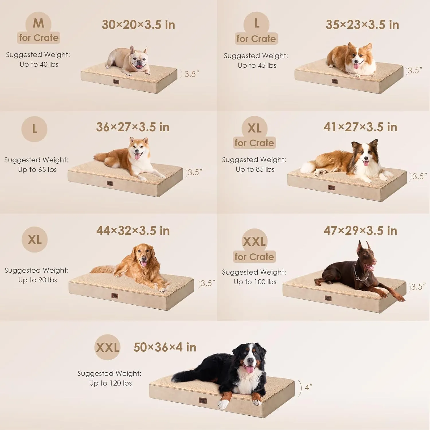 EHEYCIGA Orthopedic XL Dog Beds for Extra Large Dogs with Removable Washable Cover, Khaki, 44x32