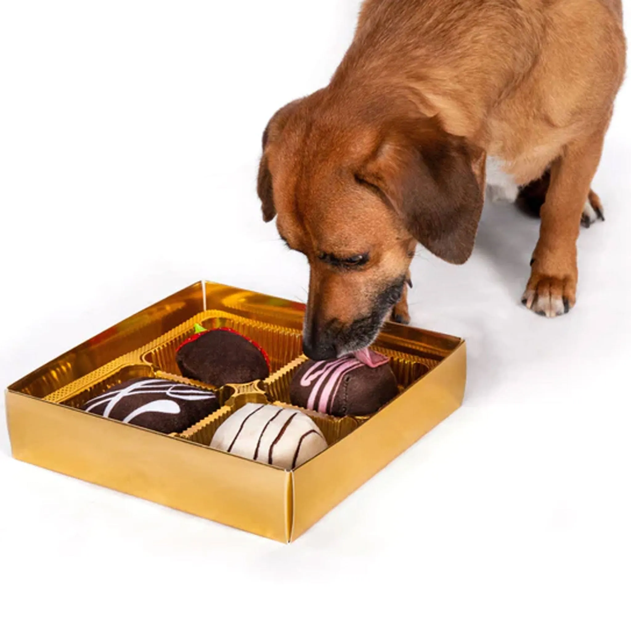 FabDog Dogiva Chocolates Dog Toys