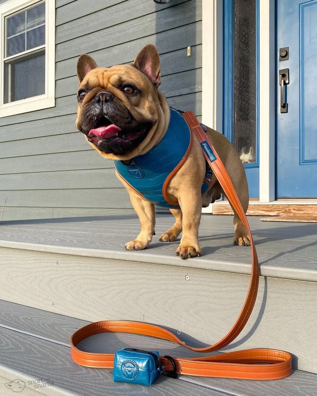 Frenchiestore Dog Luxury Leash | Sprung