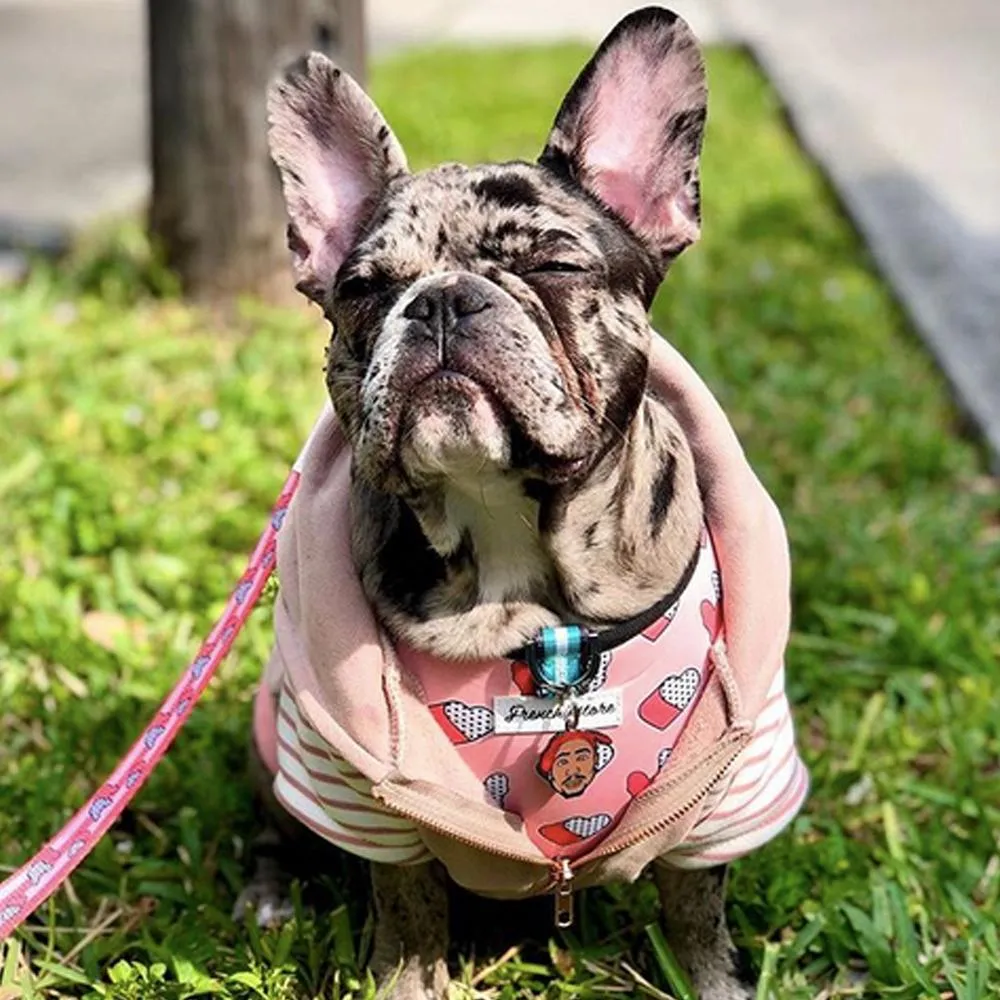 Frenchiestore Luxury Dog Leash | Frenchie Love in Pink