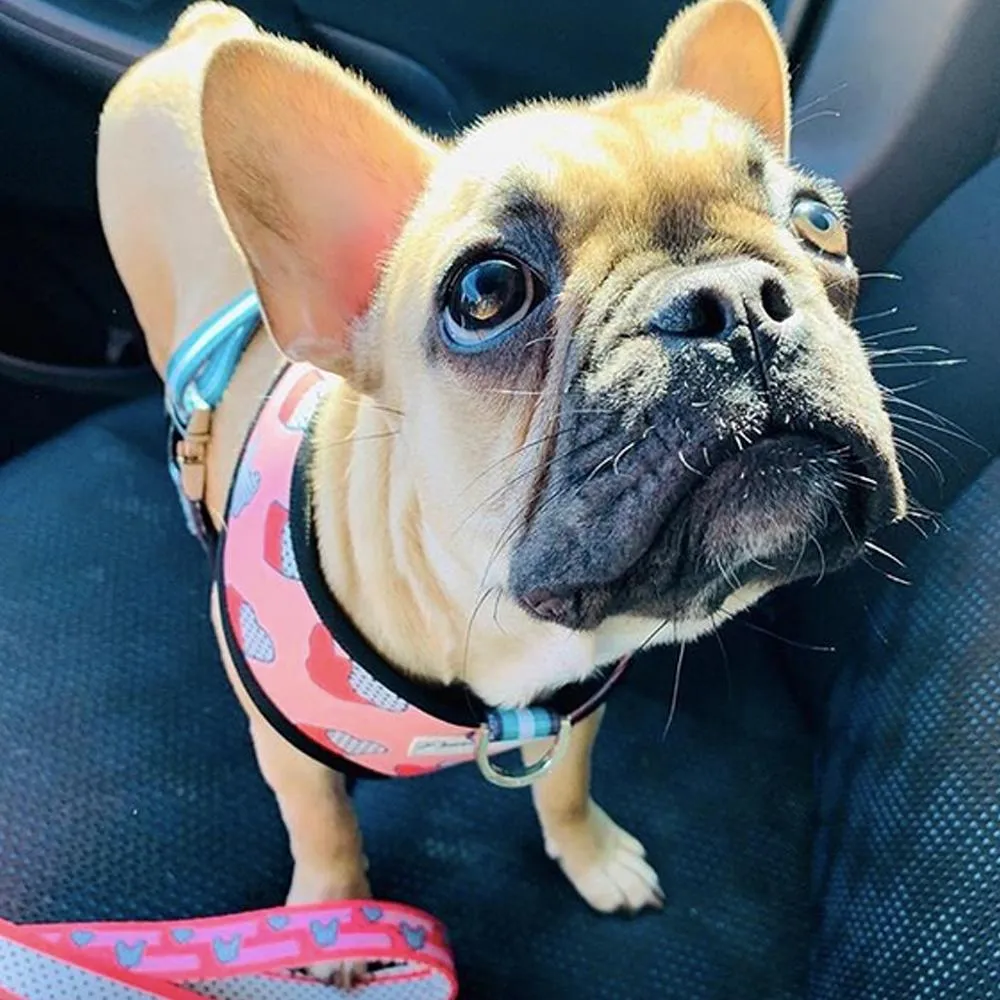 Frenchiestore Luxury Dog Leash | Frenchie Love in Pink