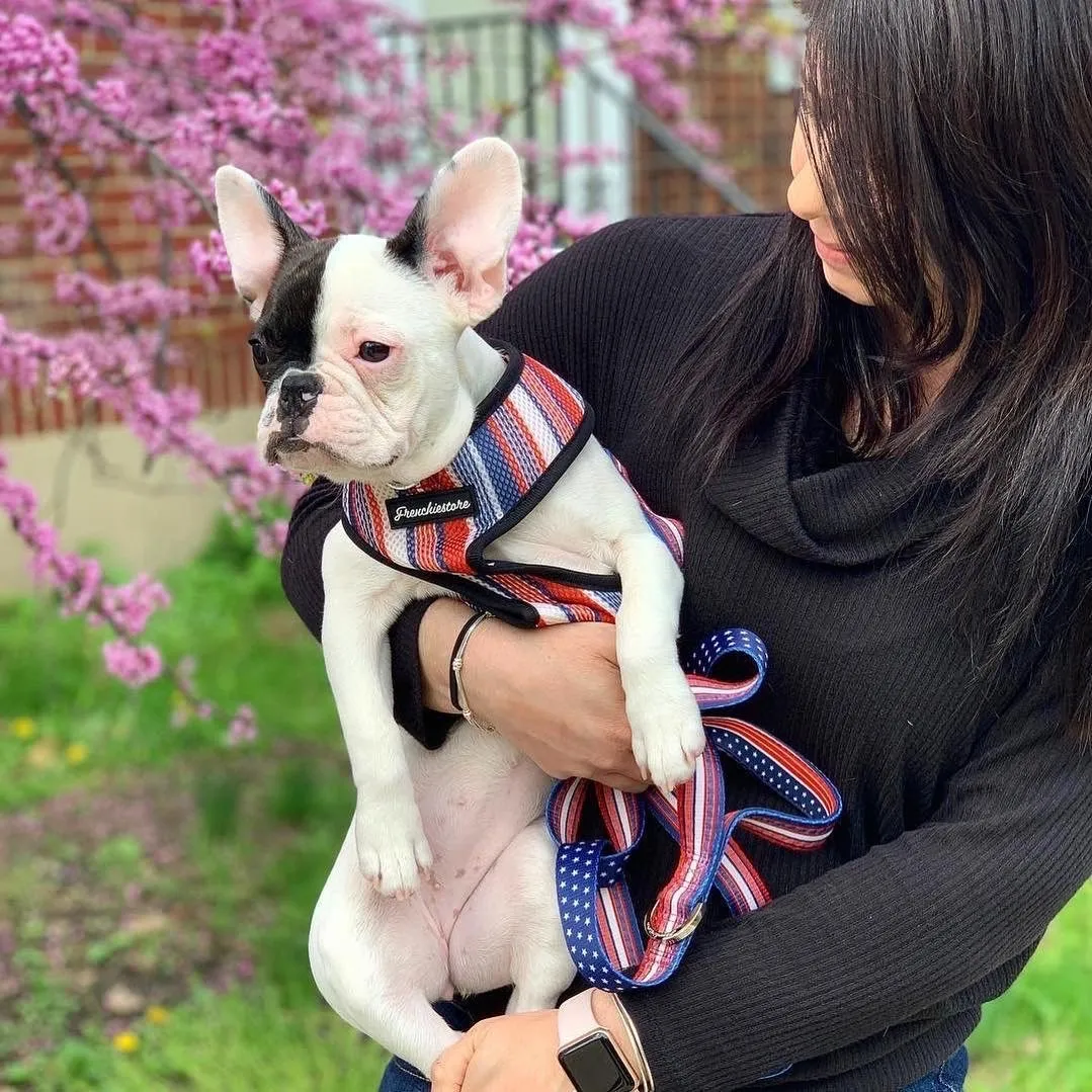 Frenchiestore Luxury Leash | All American