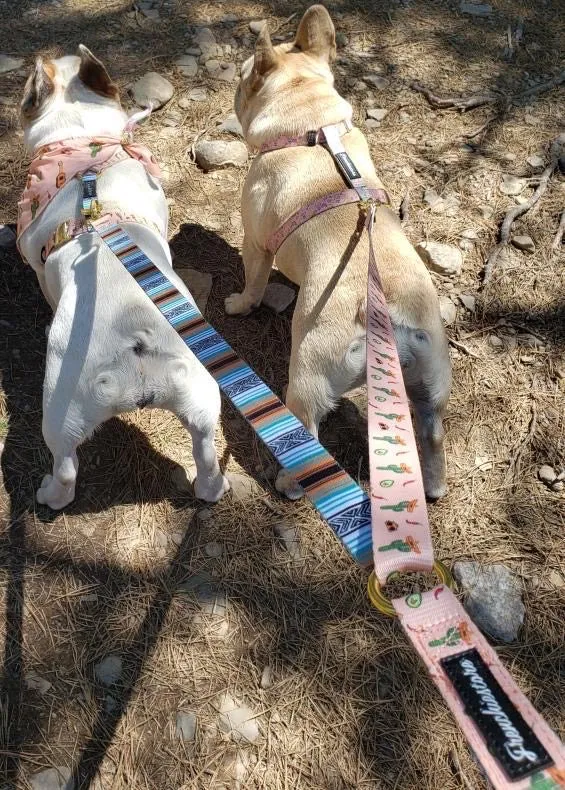 Frenchiestore Multiple Configurations Health Leash | Livin' La Vida Frenchie