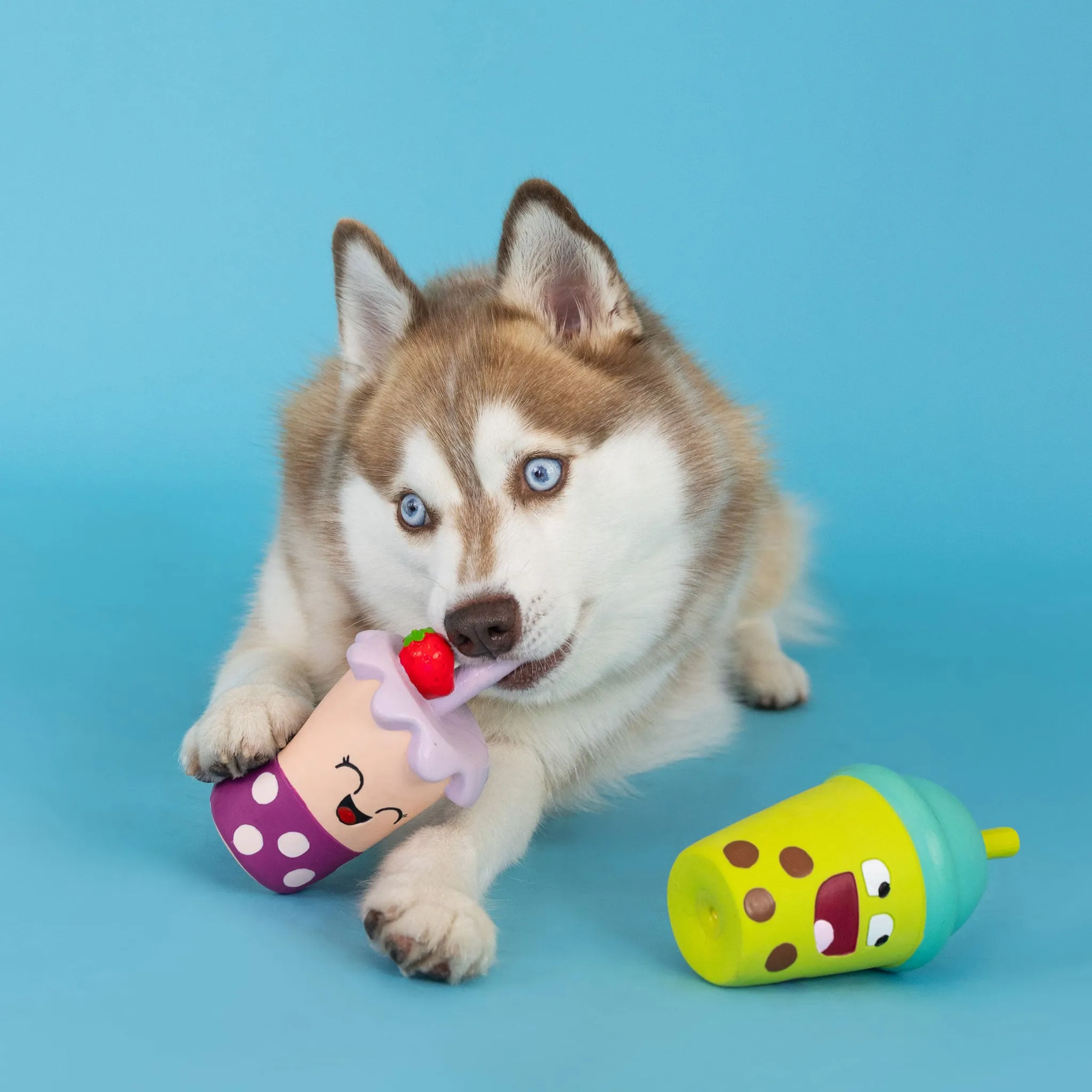 Fringe Best-Teas Dog Toys