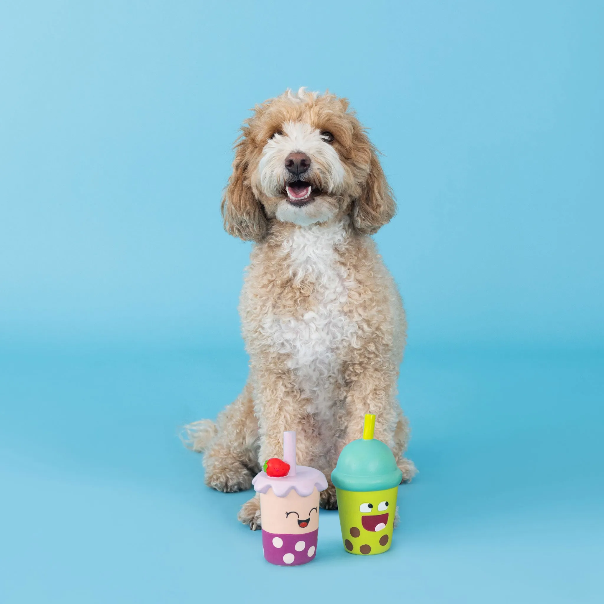Fringe Best-Teas Dog Toys