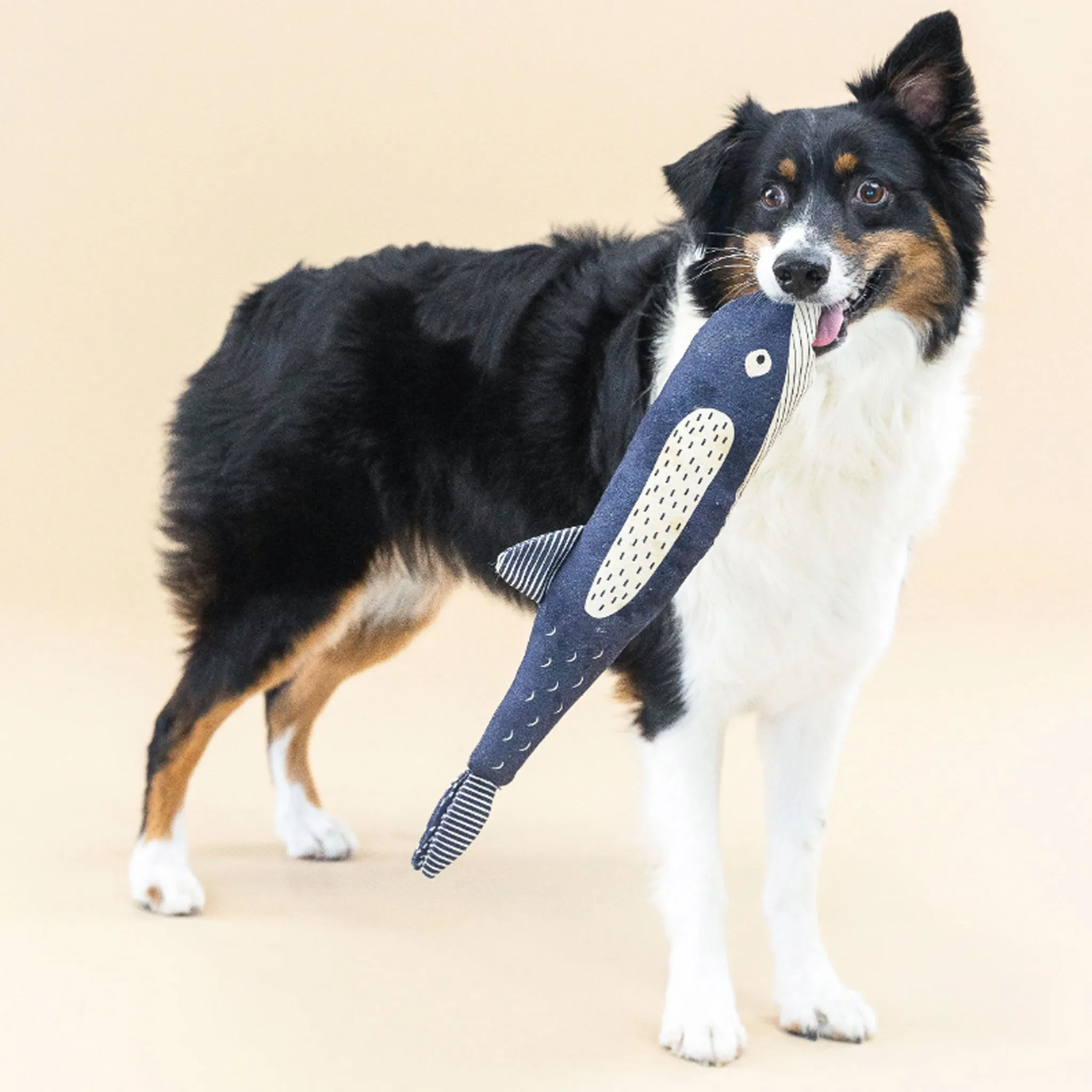 Fringe Canvas Squeaker Whale Dog Toy