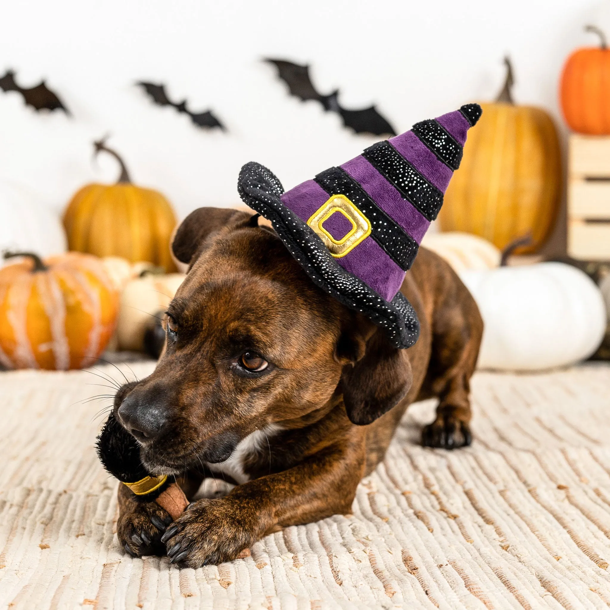 Fringe If the Broom Fits Dog Toys