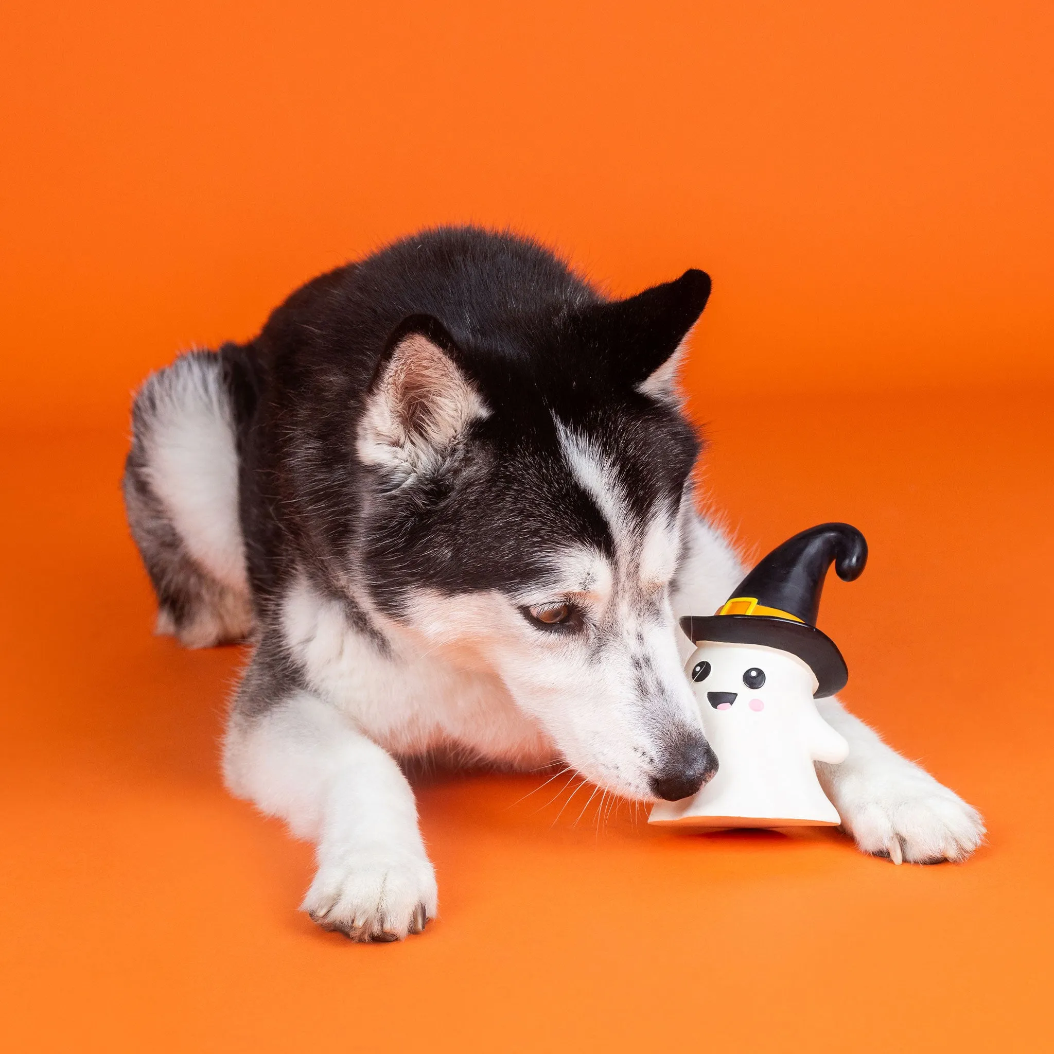 Fringe One Wicked Ghost Dog Toy