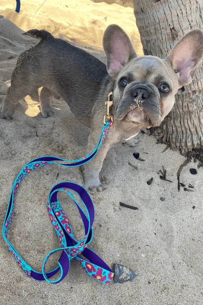 Gentle 2-Handle Dog Leash - Big Fish