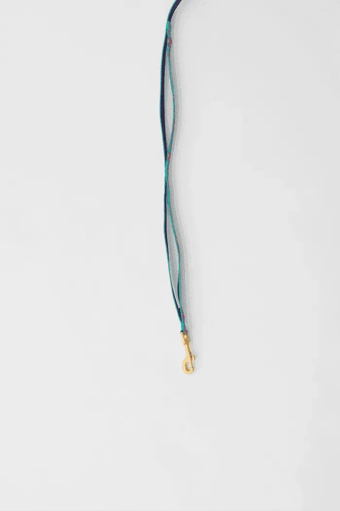 Gentle 2-Handle Dog Leash - Big Fish