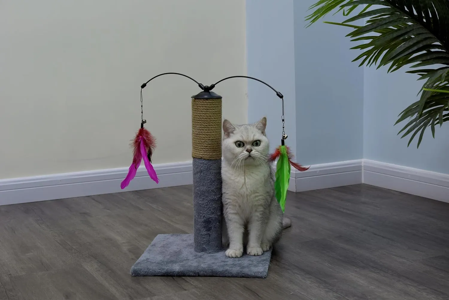 Go Pet Club Everyday Value 19in Scratching Post with Sisal Rope and Interactive Hanging Toy Feather, Gray