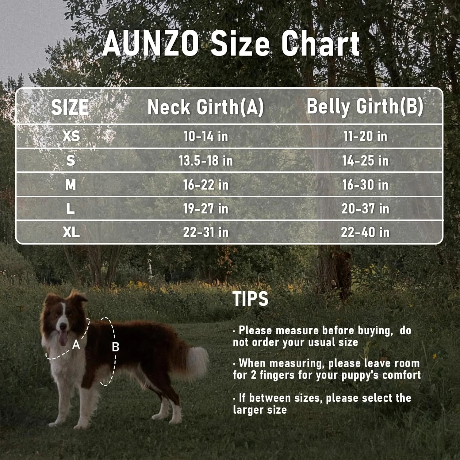 Heavy Duty No Pull Tactical Dog Harness for Large Dogs, Labrador Golden Retriever German Shepherd, Adjustable Soft Padded Dog Vest, Breathable Pet Oxford Vest with Easy Control Handle, Gray L