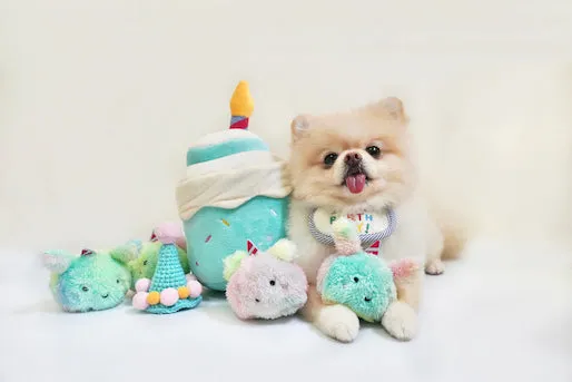 Hey Cuzzies Hide N Seek Birthday Cake Interactive Dog Toy