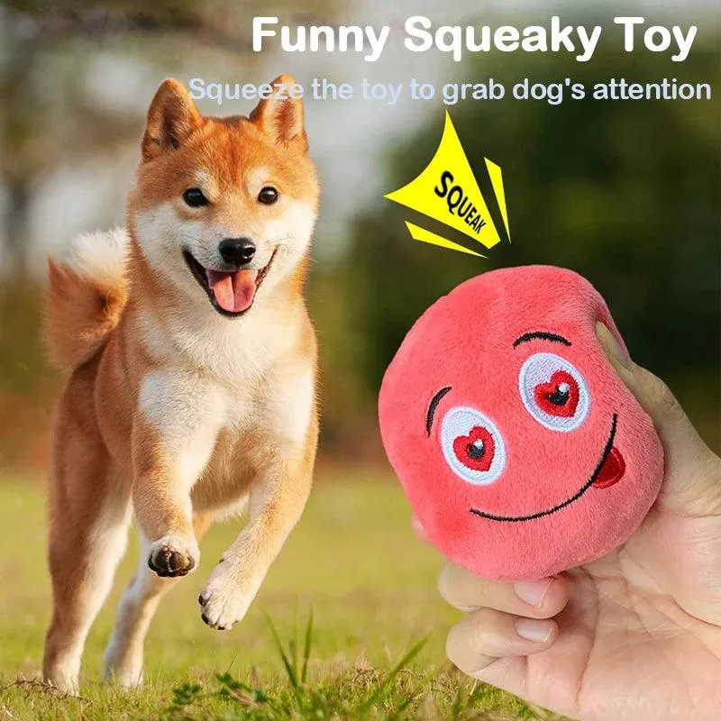 Interactive Squeaker Ball Fetch Chew Dog Toy