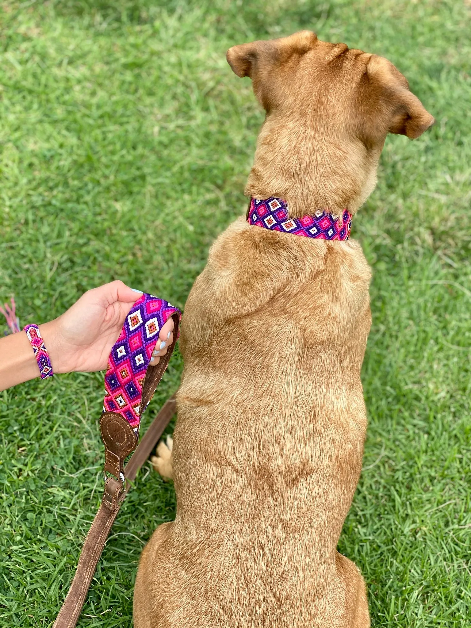 Juanita Leash