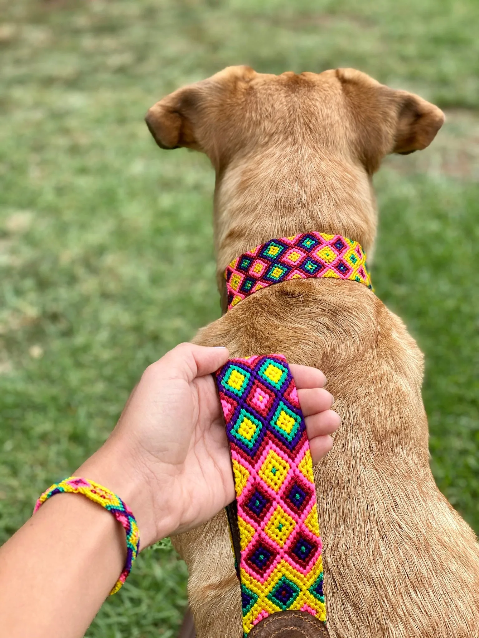 Kamila Leash