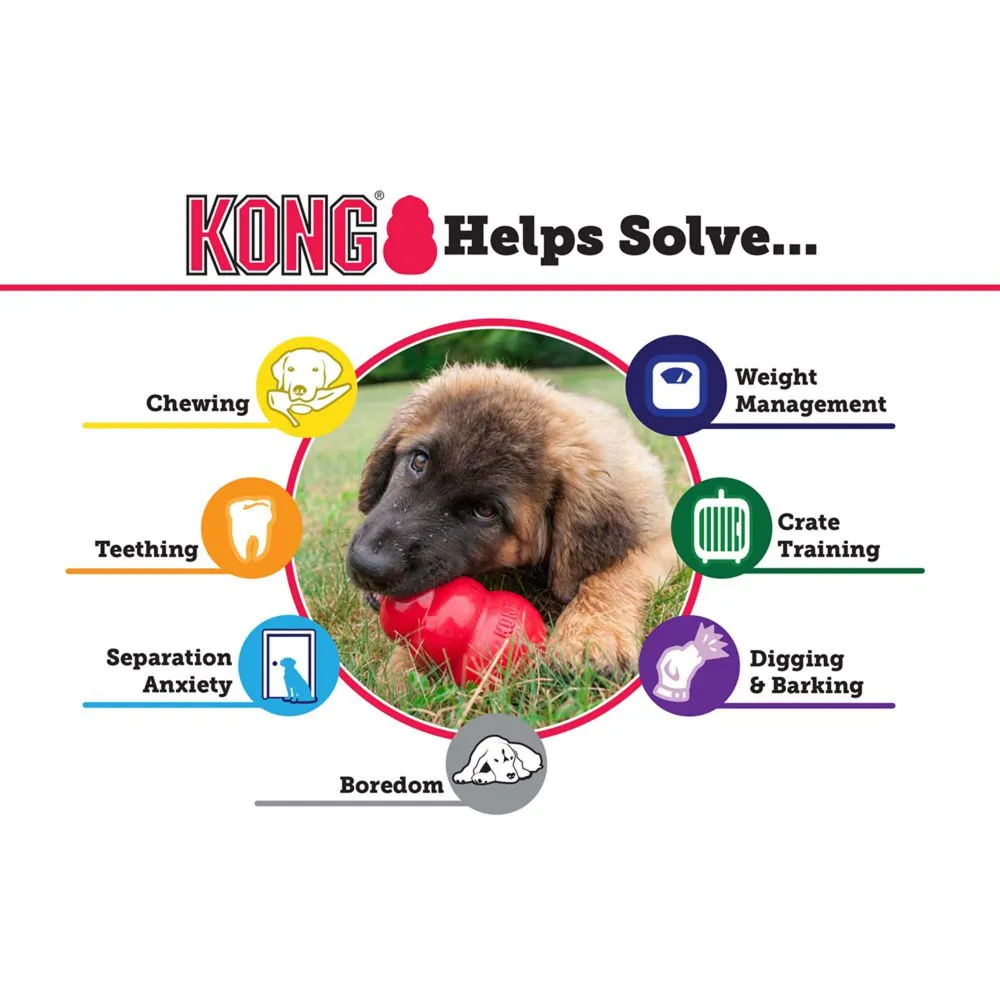 Kong Classic Chew Dog Toy
