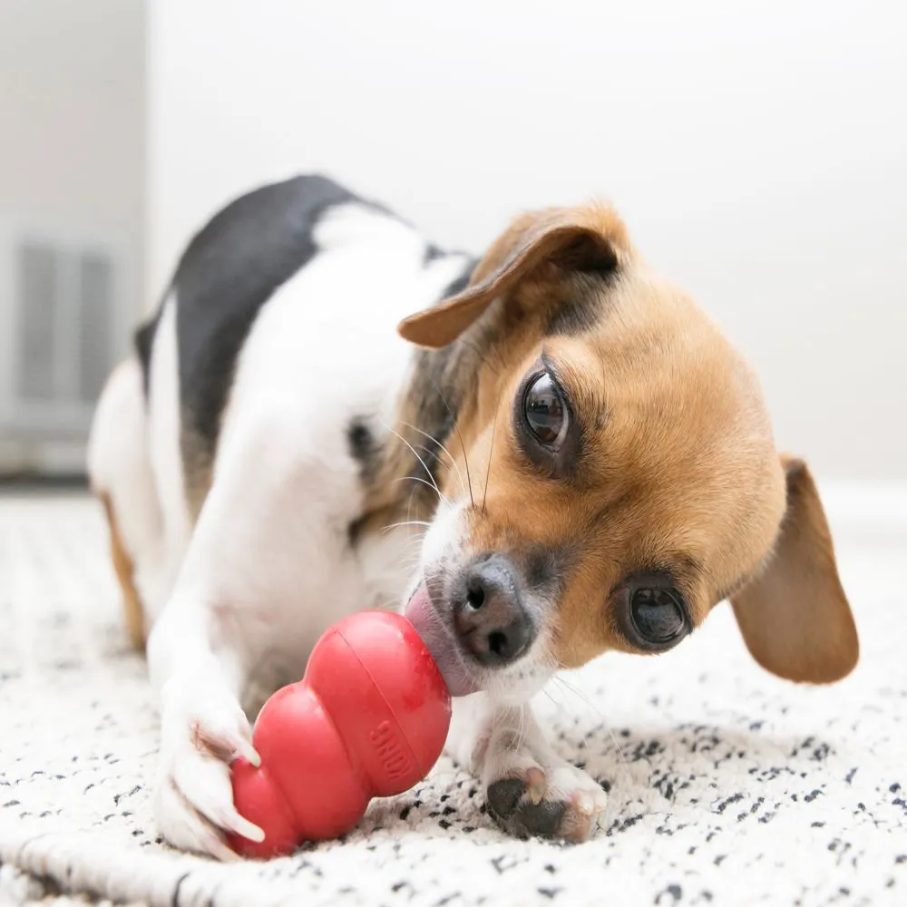 Kong Classic Chew Dog Toy
