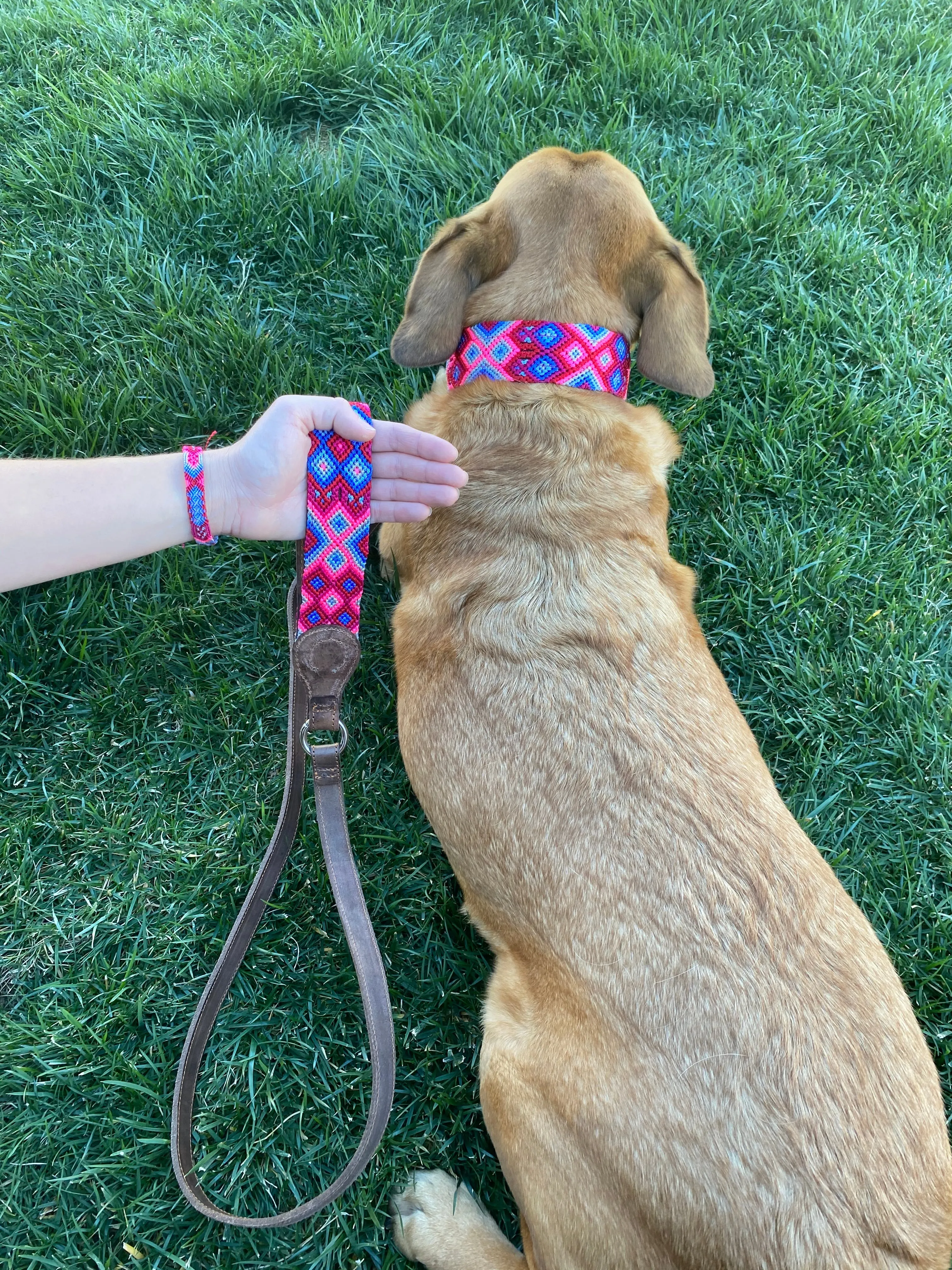 Luna Leash