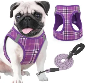 Magshion No Pull Dog Harness and Leash Set for Large Dogs, Heavy Duty 5ft Leash, Padded Pet Vest with Adjustable Velcro & Reflective Strips for Walking, Running, Training in Night, Purple, L