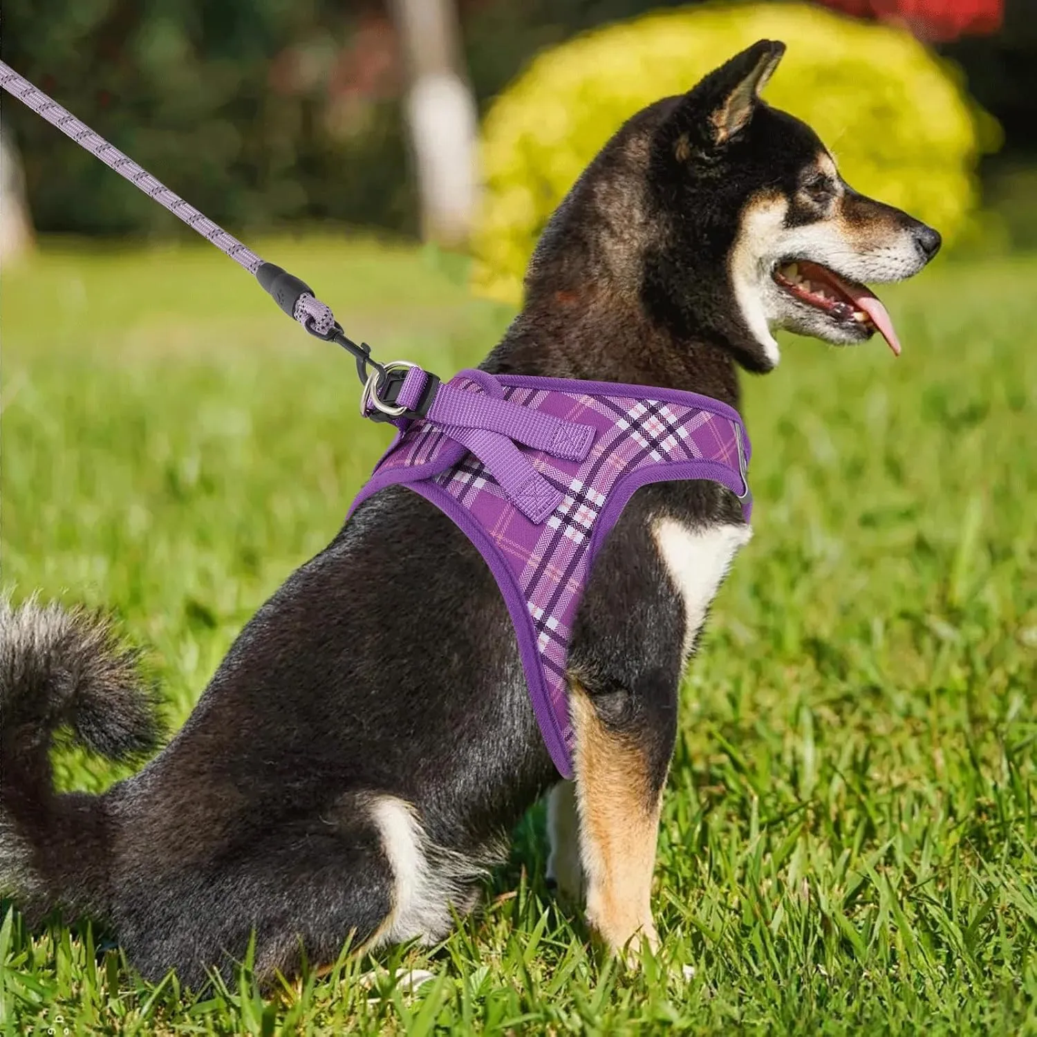 Magshion No Pull Dog Harness and Leash Set for Large Dogs, Heavy Duty 5ft Leash, Padded Pet Vest with Adjustable Velcro & Reflective Strips for Walking, Running, Training in Night, Purple, L