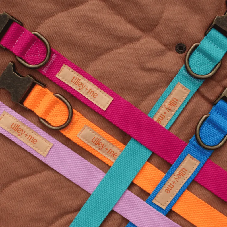 Malibu Sunset Sustainable Hemp Cotton Adjustable Dog Leash