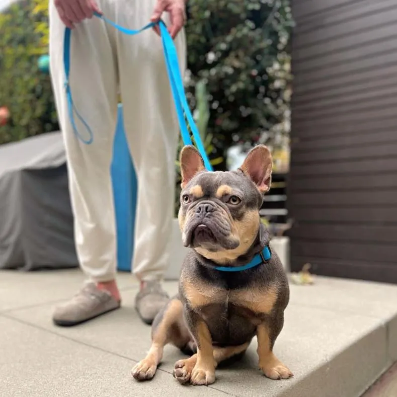 Malibu Sunset Sustainable Hemp Cotton Adjustable Dog Leash