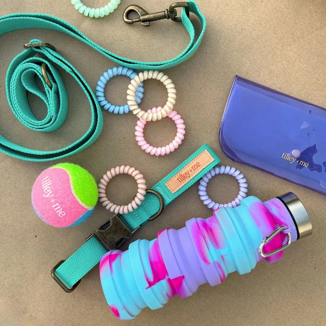 Malibu Sunset Sustainable Hemp Cotton Adjustable Dog Leash