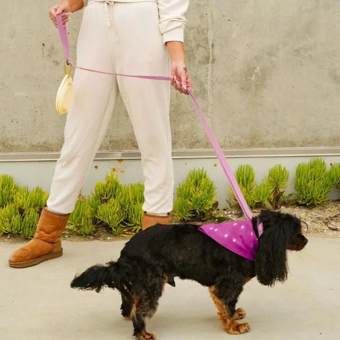 Malibu Sunset Sustainable Hemp Cotton Adjustable Dog Leash