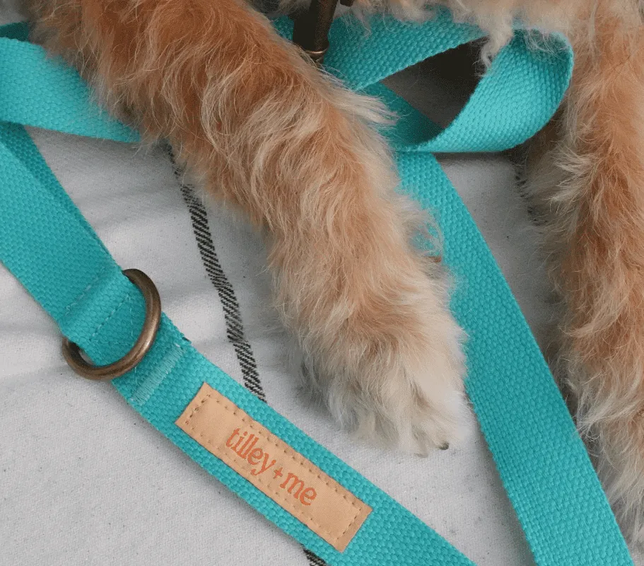 Malibu Sunset Sustainable Hemp Cotton Adjustable Dog Leash