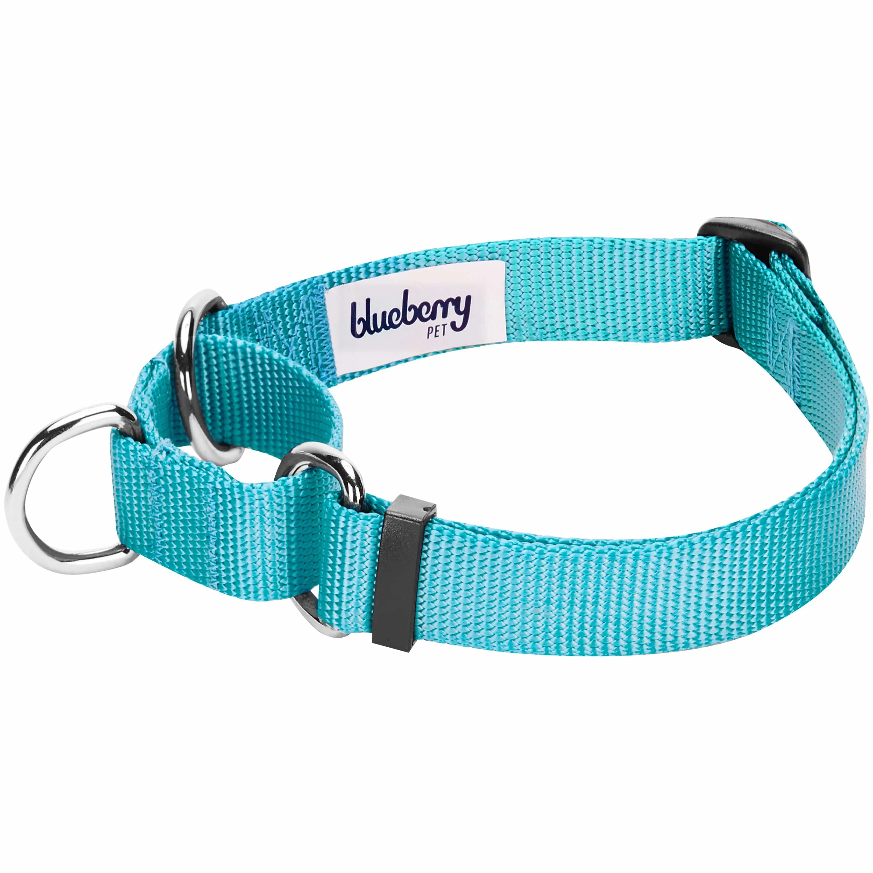 Martingale Safety Training Dog Collar, Blue