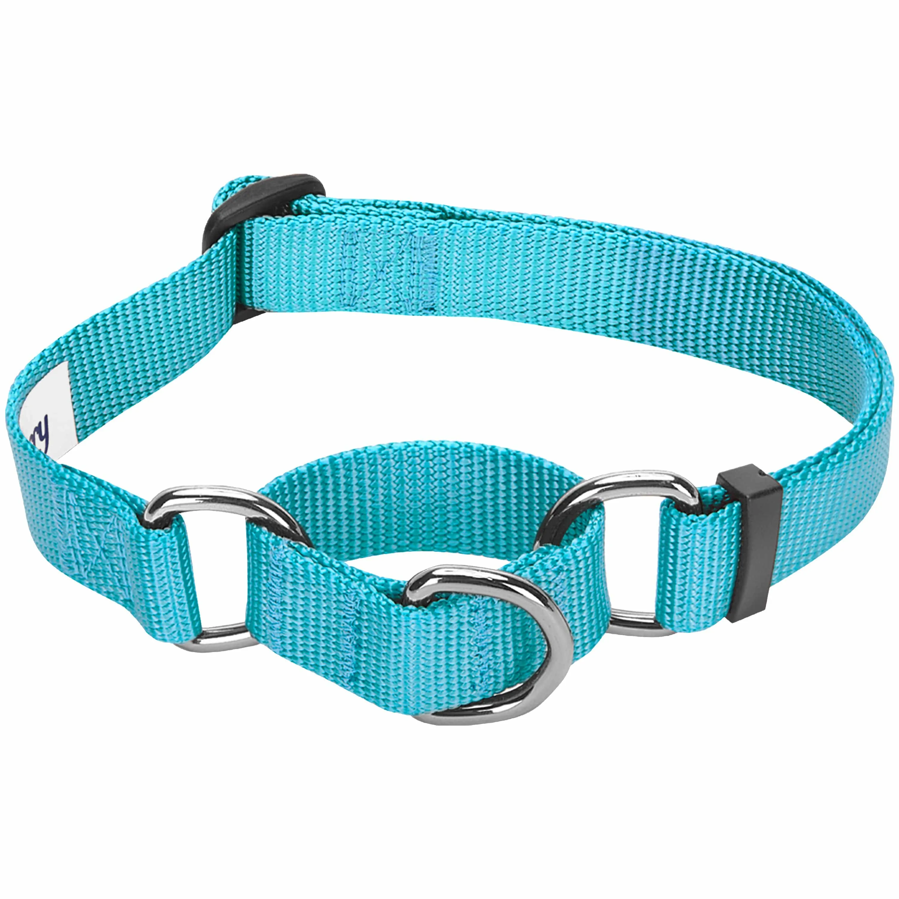 Martingale Safety Training Dog Collar, Blue